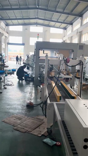 Case packer customized by other customers # Casepacker #Case packing# Packaging machine #manufacture