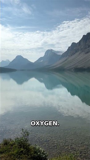 Exploding Lakes: The Silent CO2 Killer #Shorts