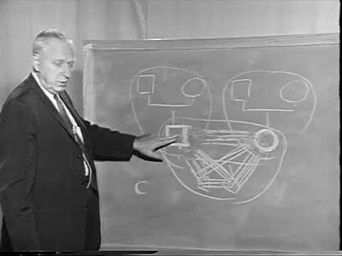 Differentiation of Self in a Family