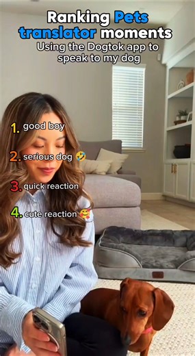ranking funny pets Translator moments #shorts #cats #dogs