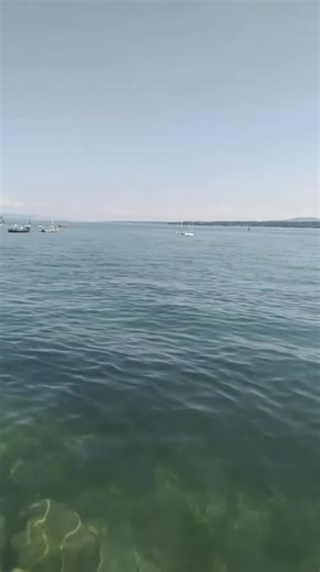 Afro Boy Dance Trends: Move to the Beat of Afrobeats