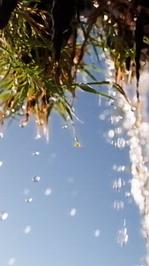 Where our water begins its journey — through rock, mountain and time. Natural spring water, bottled at source. Extraordinary by nature. #DrinkExtraordinary | Thirsti Water