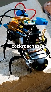 Cyborg Cockroaches: The Future of Rescue Missions! #Cockroach #Cyborg #Revoscience | Science Club Nepal