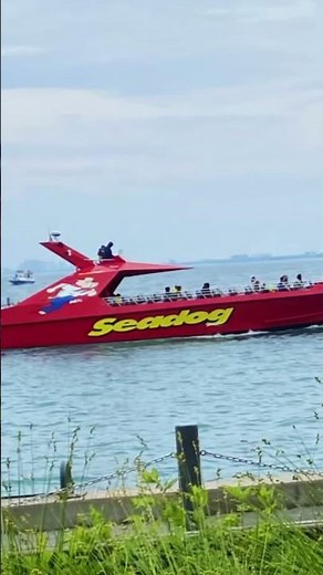 Explore Chicago’s Navy Pier | Ferris Wheel, Seadog & Waterfront
