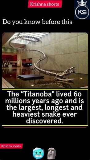Titanoba lived 60 million years ☠️🧲