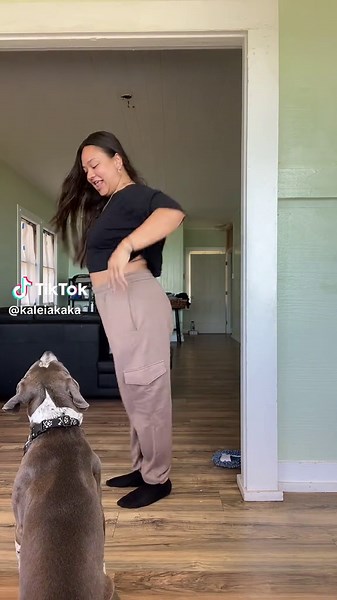 Groovin W/ Milo 🤙🏽 DC : @Dilen De Zilva Deco #dance #fyp #energy #chrisbrown #explore #foryou #foryoupage #choreo #hawaii #oahu #dog #pitbull #hound #puppy #cute #hawaiian #honolulu #dancer #chrisbreezy #beach
