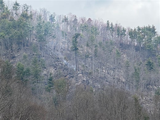 ‘Poplar’ wildfire spreads, burns hundreds of acres at TN/NC line