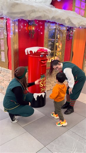 “Rikku’s Christmas post is on the way… Santa, don’t keep him waiting! 🎅📬✨”#ireland #xmas #santa #santagifts🎅🎁 #xmastime🎄 | Febi Chinnamma Rappai