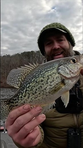Crappie Catch and Release in Cold Water