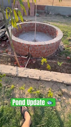 Farmhouse Pond Update😯🐟 #shorts#ponds #fishtank#breeding#fish#koi#koifish#goldfish#ponds