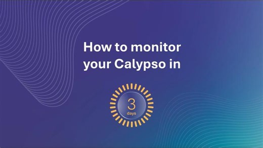 How to monitor your Calypso in 3 days | Morgan CIVILISE
