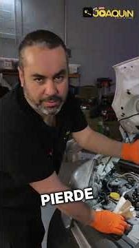 Checking Car Fluid Levels: A Basic Guide | From Novice to Expert 41/100