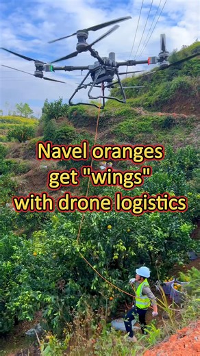 87K views · 4K reactions | Drones are revolutionizing harvests in Ganzhou, a major navel orange producing area in China. Slashing costs and saving time, the drones effortlessly carry tons of fresh fruit over mountainous plantations. A single drone can transport 15,000 kg daily. #drone #DroneDelivery | China Xinhua News | Facebook
