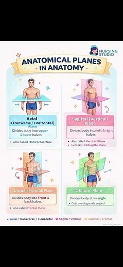 Anatomical Planes Explained | Sagittal Coronal Transverse | Nursing ‪@YouTube‬ ‪@yournsgstudio-v7b‬