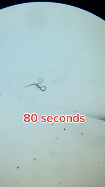 A Closer Look at Life: Biology’s Hidden Details Exposed