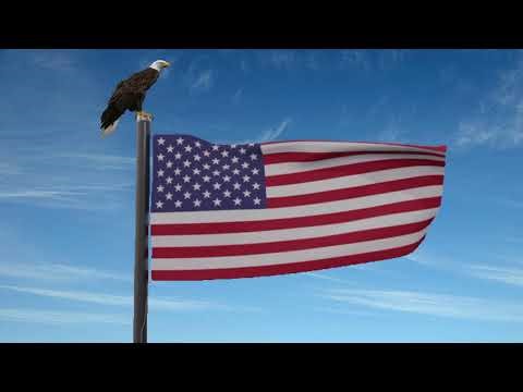 Archer Elementary School Live Stream