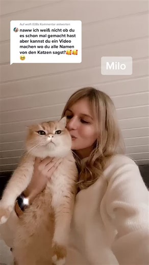 Antworten: Wie heißen eure Katzen? 😽