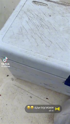 أفضل أماكن صيد السمك في الخبر والشرقية