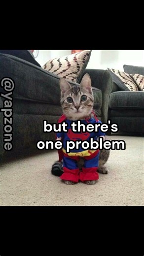 but there s one problem #cat #catmemes#memes #fyp