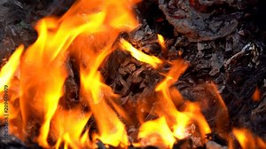 Flame fire and smog is burning garbage or waste on dark background. Incineration of waste causes air pollution and global warming. Flames are reddish orange depending on the type of fuel.