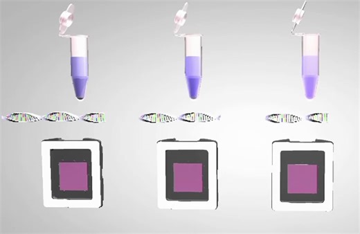 赛默飞 QuantStudio™3D数字PCR系统