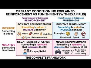 Operant Conditioning Explained: Positive & Negative Reinforcement vs Punishment (With Examples)