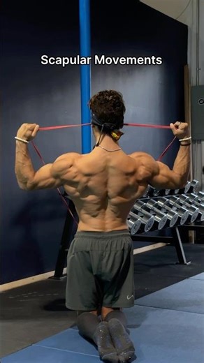 Scapular Stabilty 101