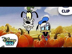 Mickey & Friends Visit Harvest Festival 🍂🍎🍁 | The Wonderful Autumn of Mickey Mouse | ‪@disneykids‬