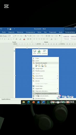 Cómo Hacer Trípticos en Word: Guía Completa