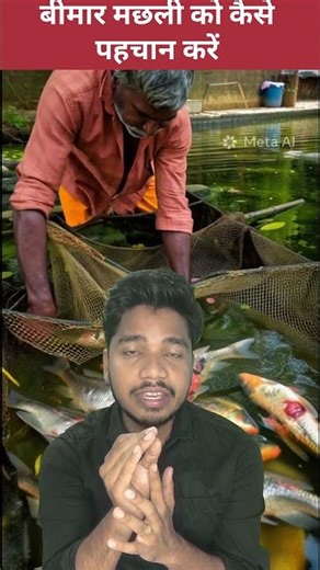 बीमार मछली की पहचान करने का सीक्रेट तरीका 😱😱 #aquaculture #fishculture