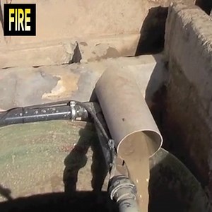 Become a millionaire by selling your poop. | PlayGround