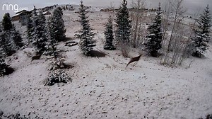 Never miss a moment this season. Save $30 on a Ring Video Doorbell 2 and enjoy free shipping! | Ring