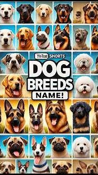 Dog Breeds Name #dogs #dogbreeds #dogsbreeds #dogsname #dogname #100dogbreeds #dog