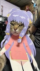 In this case, what happens when it gets wet? #cat #cosplay #ranma1/2