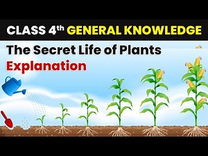 The Secret Life of Plants - Explanation | Class 4 General Knowledge