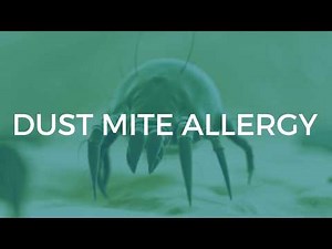 Dust Mite Allergy: Symptoms and Treatments • Video • MEDtube.net