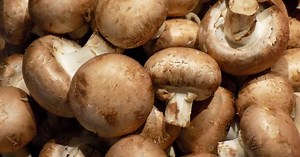 La véritable histoire des champignons de Paris