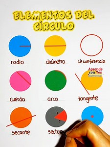 Los principales elementos del círculo | Aprende con Yes