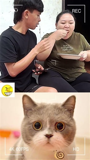 This is so funny, l couldn't stop laughing #funny #funnyvideos#duet #foryou #pov #viral