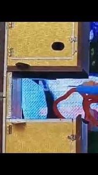 Mind-Blowing Human Tri-Section Magic Trick on Stage! | Amazing Illusion Performance