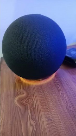 Alexa vs Google