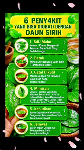 6 Manfaat Daun Sirih yang Jarang Diketahui! Nomor 5 Bikin Penasaran! 🌿