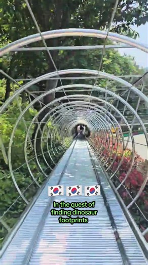 On the hunt for more dinosaur footprints at the Goseong Dinosaur Museum 🦖👣 The adventure continues outdoors! #goseong #dinosaurmuseum #dinosaurfootprints #dinohunt #goseongdinosaurmuseum