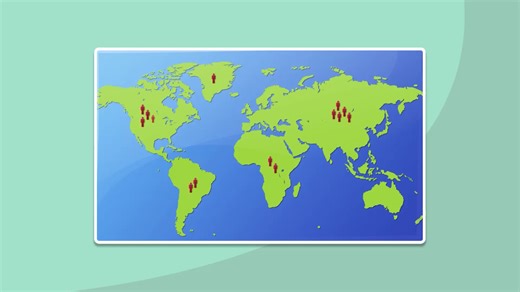 Population Growth Limits - Ecosystems: Interactions, Energy, and Dynamics - JoVE K12
