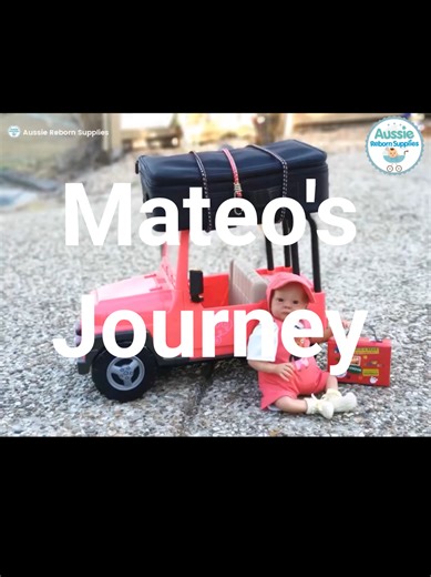 When Mateo went on his travels #rebornbabydoll #reborndoll #rebornbaby #animated #aussierebornsupplies