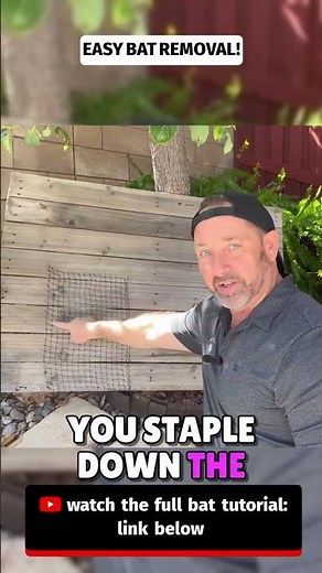 Bats in Your Attic? Build THIS One-Way Valve 🦇 #BatRemoval #BatControl #WildlifeRemoval