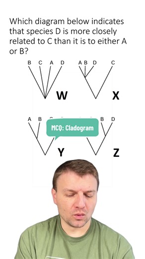 MCQ: Cladograms #cladograms #biology #science #stem #taxonomy | Science
