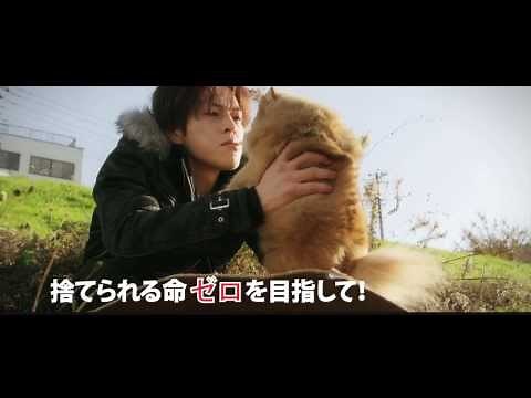 映画『ノー・ヴォイス』予告編