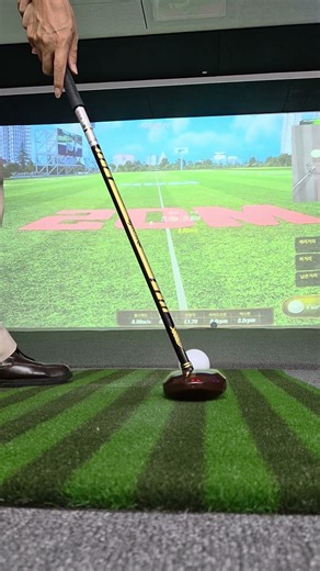 한국여울행복파크골프협회 매주 수요일 3시 모임 실내스크린 라운딩 여울문학 국토하천살리기연합강서지회중앙회 유튜브방송