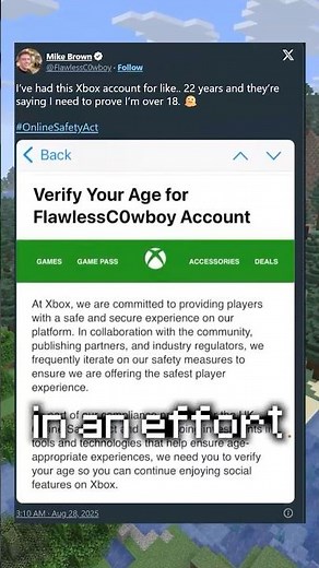 Age Verification in Minecraft
